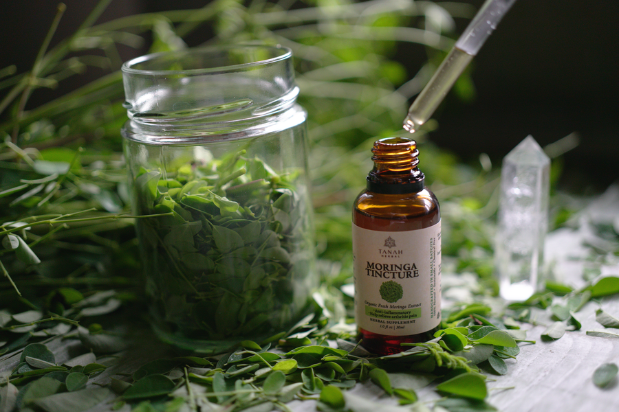 Everything You Need to Know About Herbal Tinctures