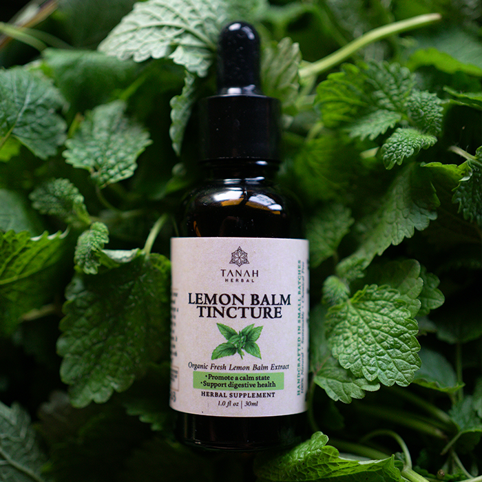 Lemon Balm Tincture